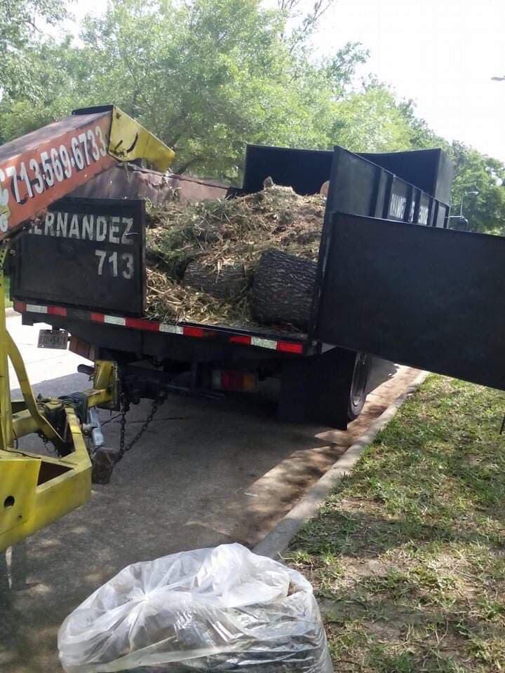 Hernandez Tree Service